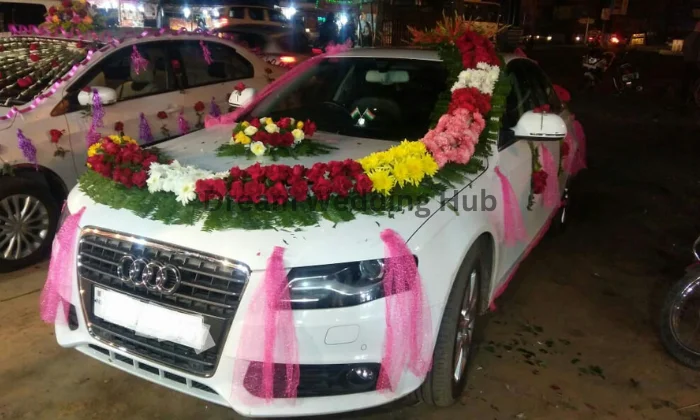 Luxury Tour and Travels